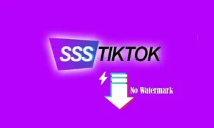 SSSTiktok, Download Video TikTok MP3 & MP4 Tanpa Watermark